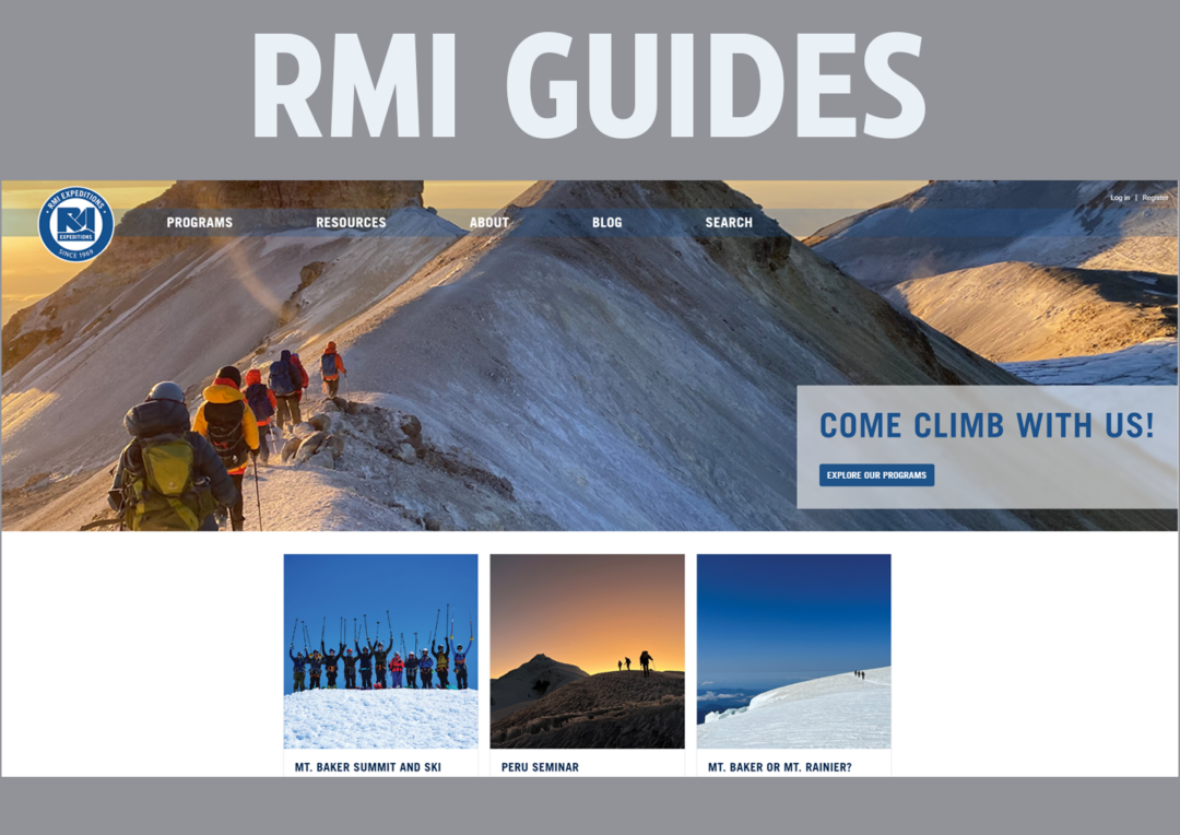 RMI Guides